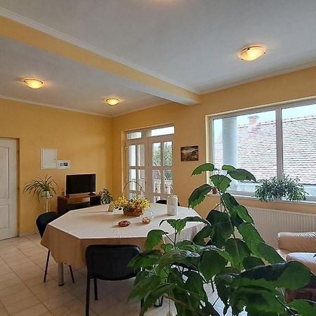 Bed and Breakfast Erika Panzio Ditrău Esterno foto